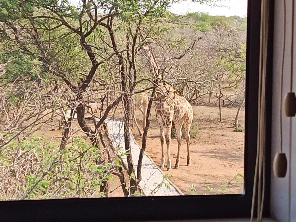 Marloth Kruger View Apartment Marloth Park Exterior foto