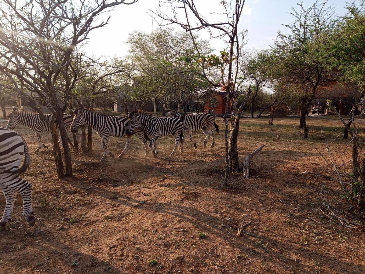 Marloth Kruger View Apartment Marloth Park Exterior foto