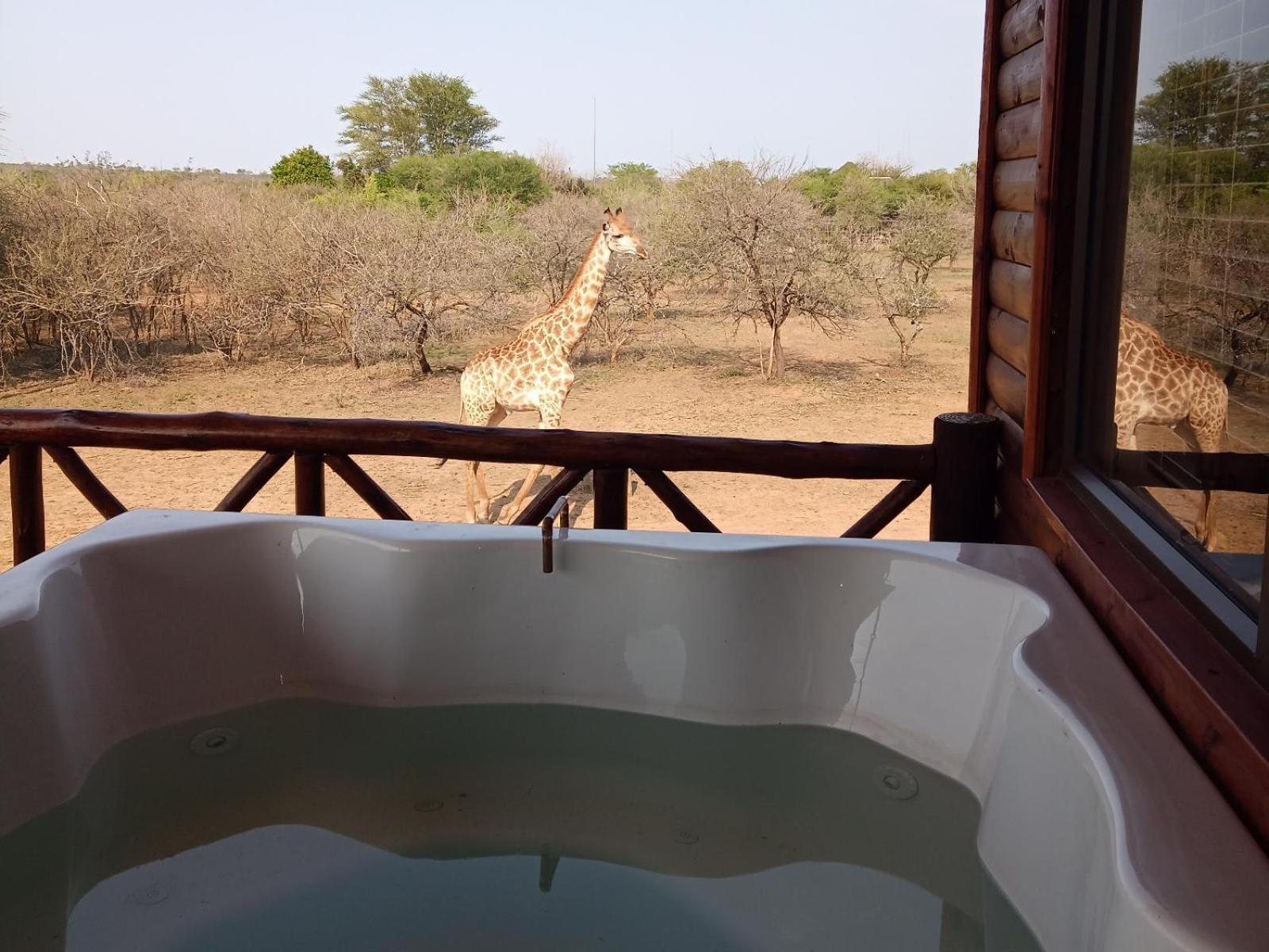 Marloth Kruger View Apartment Marloth Park Exterior foto